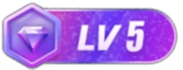 等级-LV5-源码巢