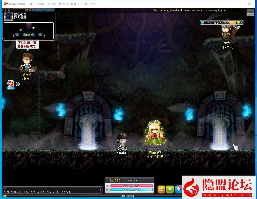 最新整理价值千元端【冒险岛KMS391】VM一键单机版韩服端相当于国服210高版本完整端 6转技能/新地图桃园/新职业 GM命令工具 物品ID